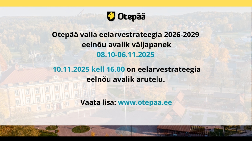 Eelarvestrateegia2025.jpg