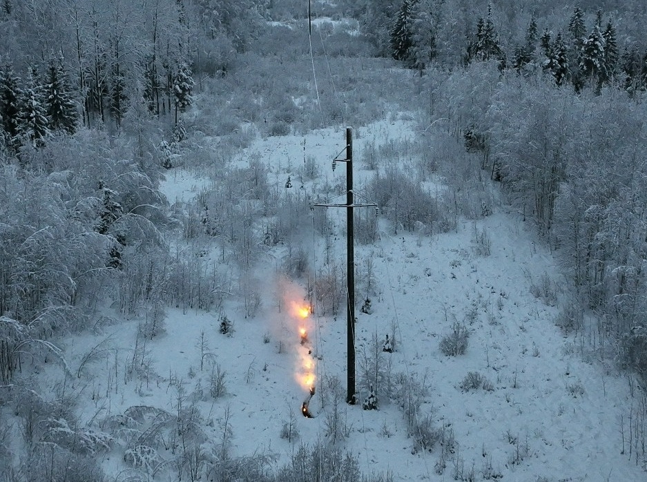 Elektrilevi pilt